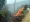 File Photo - This representative image shows wildfire spreading in a community forest. Photo: THT