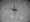 The image of Mars Helicopter Ingenuity's shadow over the Martian land as it takes the first flight on April 19, 2021.Photo Courtesy: NASA Jet Propulsion Laboratory