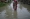 Flood triggered by incessant rainfall in the Jita River has inundated 150 houses at Tilathi Koiladi Rural Municipality, Saptari. 