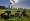 File - Cows gather near the coal-fired power station in Niederaussem, Germany, Oct. 24, 2021. Photo: AP/File