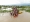 The picture shows the aerial view of Koshi Flood and evacuation, August 13, 2022.