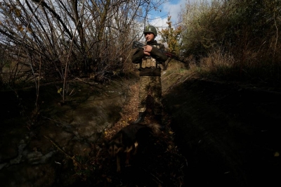 Himalayan musk deer migrating from Myagdi in search of suitable habitat