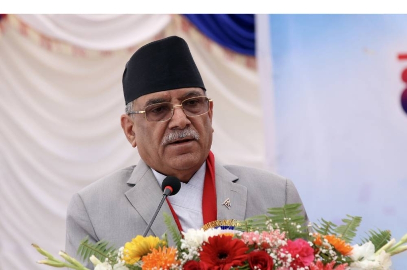 Govt committed to establish professional rights: PM Dahal