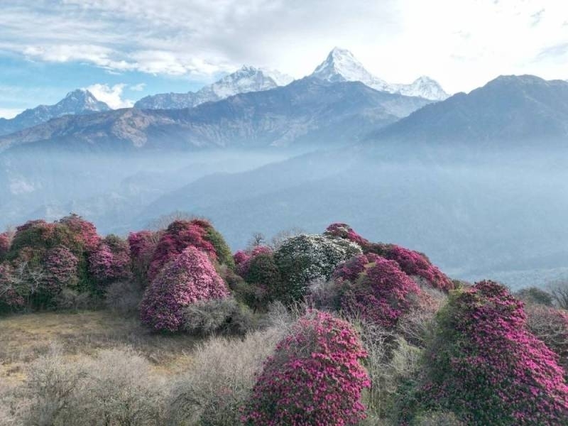 https:= Record tourist arrivals in Annapurna Region in 2024 - The Himalayan Times - Nepal's No.1 English Daily Newspaper
