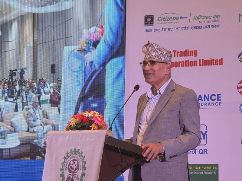 Deputy Prime Minister and Finance Minister Bishnu Prasad Poudel. Photo: RSS