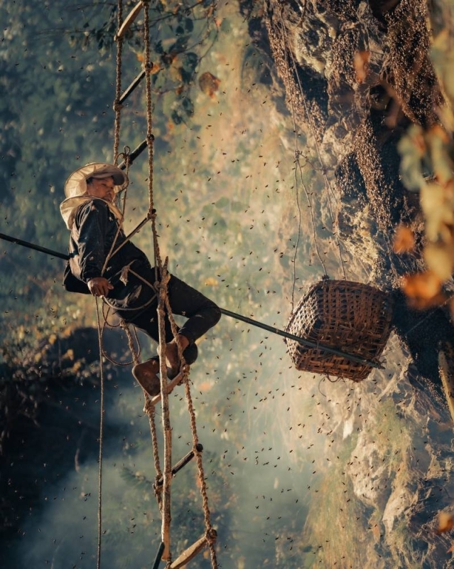 Photo Courtesy: Medicinal Mad Honey