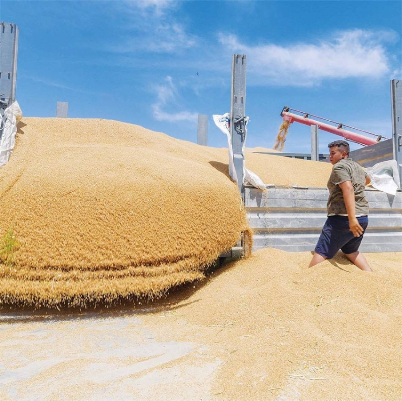 ق م ح .. سلاح دبلوماسي في قلب الأزمة ق م ح .. سلاح دبلوماسي في قلب الأزمة