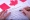 كندا تعزز أهدافها المتعلقة بالهجرة