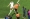 الحكم النيوزيلندي ماثيو كونغر يعلن إلغاء هدف غريزمان في المباراة