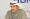الأمين العام للاتحاد العربي وأمين السر العام في الاتحاد الكويتي للتنس فالح العتيبي 