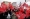 أنصار كليشدار أوغلو خلال تجمّع حاشد في بورصة أمس	(رويترز)