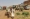 بائعون سودانيون في جنوب الخرطوم (أ ف ب)