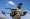 جندي أوكراني يطلق مسيّرات في تدريبات عسكرية     (رويترز)