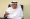 وكيل القطاع المالي والإداري، سعود الجويسر