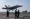 مقاتلة على متن حاملة الطائرات الأميركية أيزنهاور في خليج عدن (الأسطول الخامس)