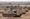 آليات عسكرية تابعة للجيش المصري في المنطقة الحدودية بين سيناء وقطاع غزة المعروفة بـ «محور فيلادلفيا» أو صلاح الدين