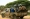 مقاتلون منالدعم السريع» في شوارع السودان