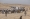 قبليون موالون للحوثيين خلال تجمّع مناهض لواشنطن في بني حشيش قبل أيام 	(رويترز)