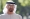 الرئيس الإماراتي الشيخ محمد بن زايد