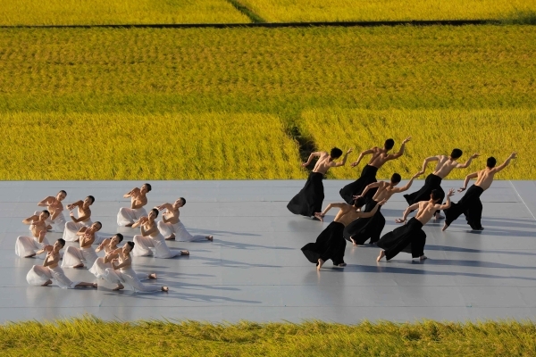 يؤدون رقصة تقليدية احتفالاً بموسم حصاد الأرز في تايوان. (أ ف ب)
