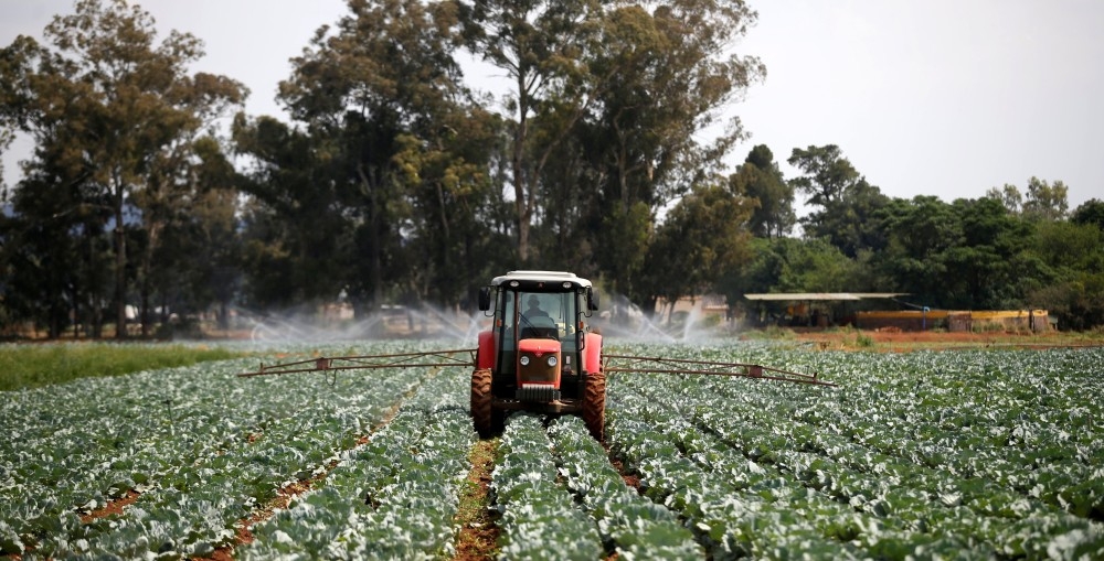جرار زراعي يرش محصول الملفوف بالمبيدات قرب مدينة جوهانسبيرغ ـ جنوب أفريقيا. (رويترز)
