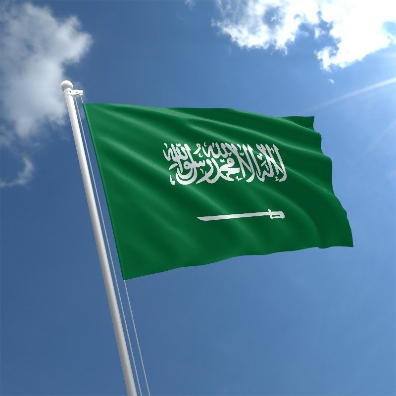 السعودية تتيح «التأشيرة الإلكترونية» لبعض الدول قريباً