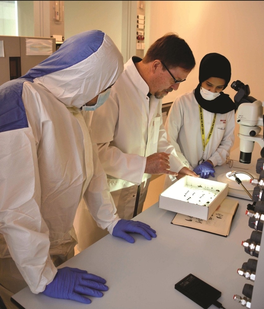 شرطة دبي تبدأ مشروع قاعدة بيانات استراتيجية لعلم الحشرات الجنائية