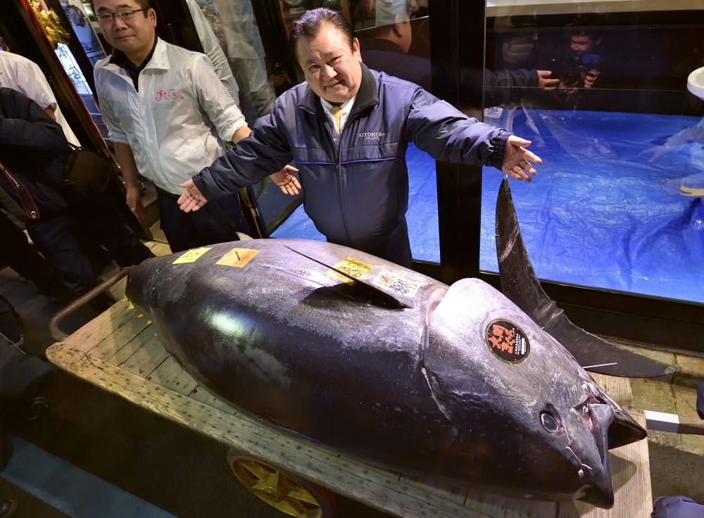 بيع سمكة تونة ضخمة مقابل 3.1 مليون دولار في باليابان