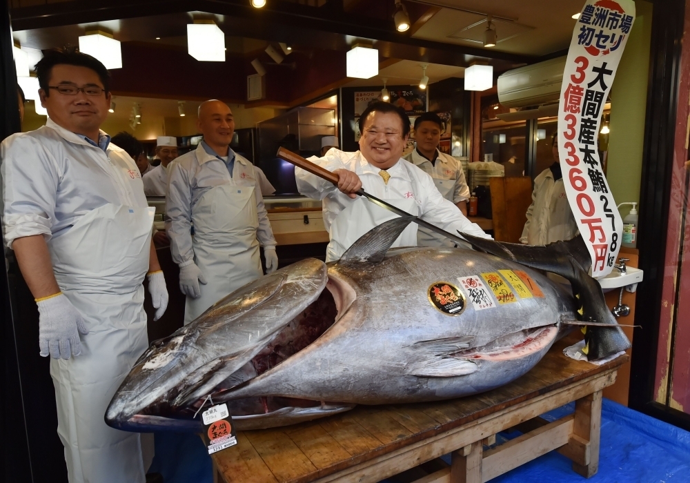 3 ملايين دولار لسمكة تونة في اليابان