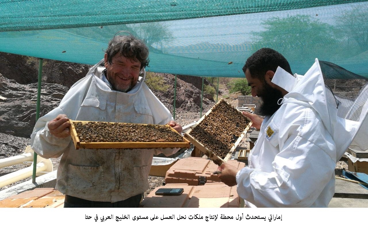 تحاليل مخبرية على مراحل إنتاج العسل فبراير المقبل