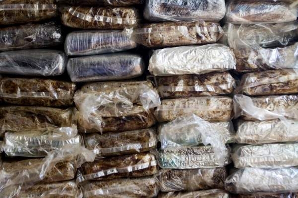 شرطة الفلبين تحذر من «الكوكايين العائم»