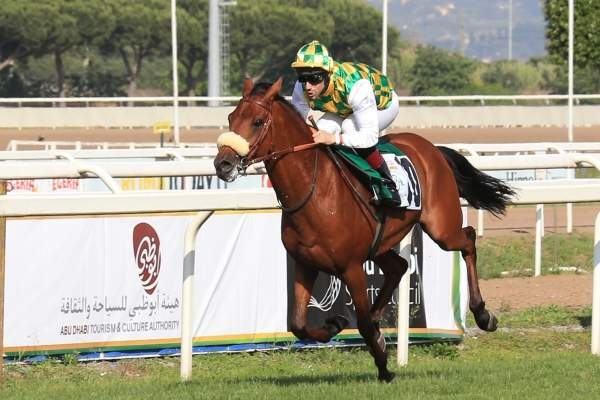 مهرجان منصور بن زايد للخيول .. 124 سباقاً في 90 دولة
