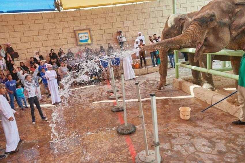 حديقة الإمارات للحيوانات تُسعد 174 طفلاً