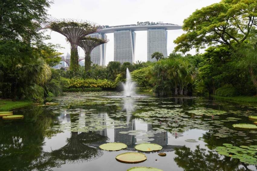 الطبيعة الخضراء في سنغافورة