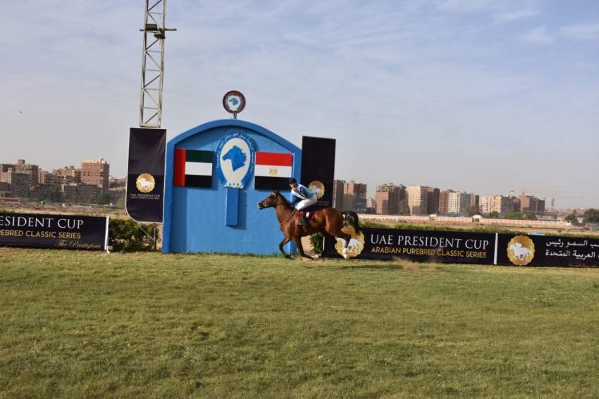 «مراد سعفان» بطل افتتاح كأس رئيس الدولة للخيول بالقاهرة
