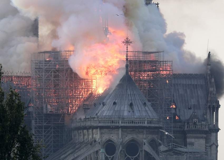 قرقاش: حريق كاتدرائية نوتردام كارثة رهيبة