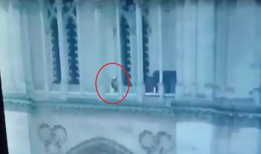 حقيقة «الشخص الغامض» على سطح كاتدرائية نوتردام أثناء الحريق