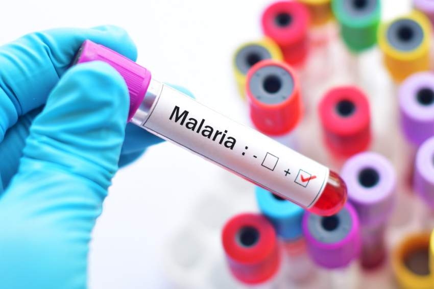 بعد 30 عاماً من التطوير.. هل ينجح لقاح الملاريا في مواجهة المرض الفتاك؟