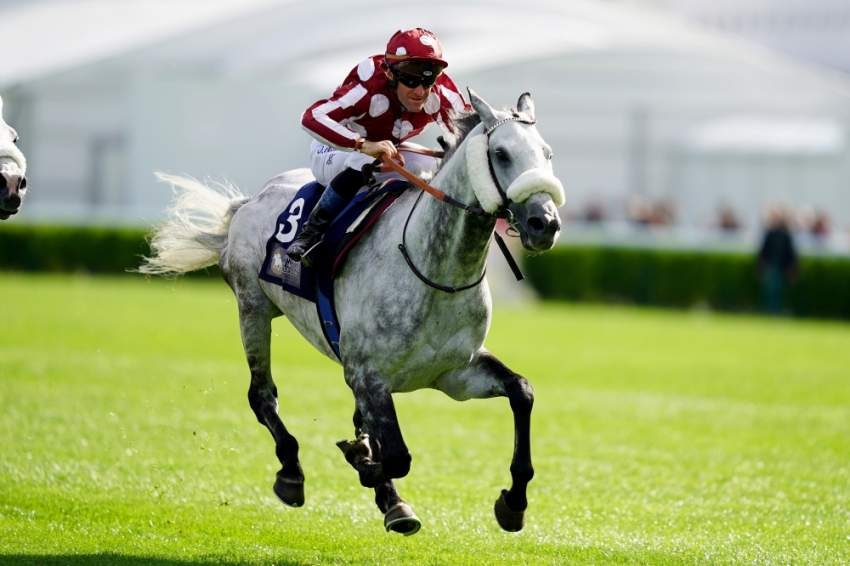 طيف بطل كأس رئيس الدولة للخيول العربية الأصيلة في باريس