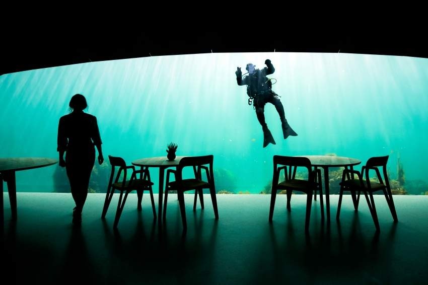 لعشاق «سياحة المغامرة» .. مطعم نرويجي تحت الماء