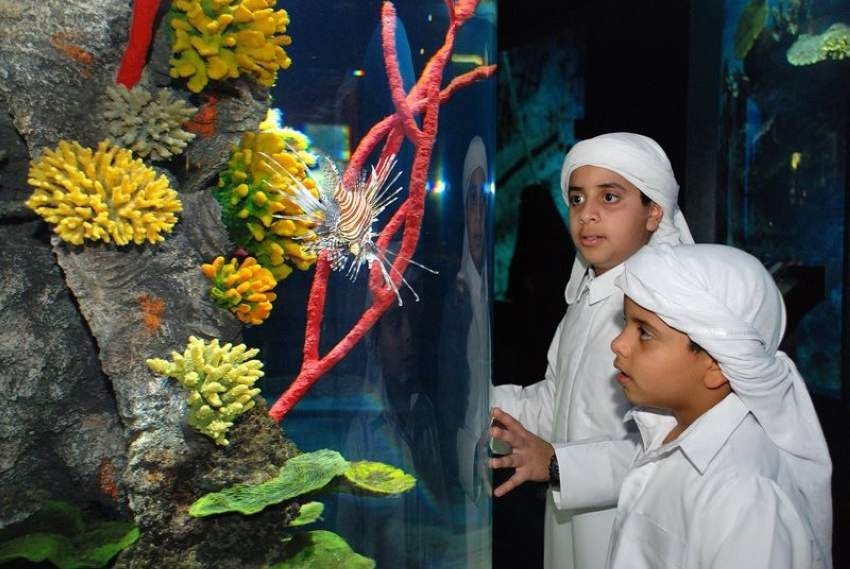 أسماك الخليج النادرة في متحف «التاريخ الطبيعي»