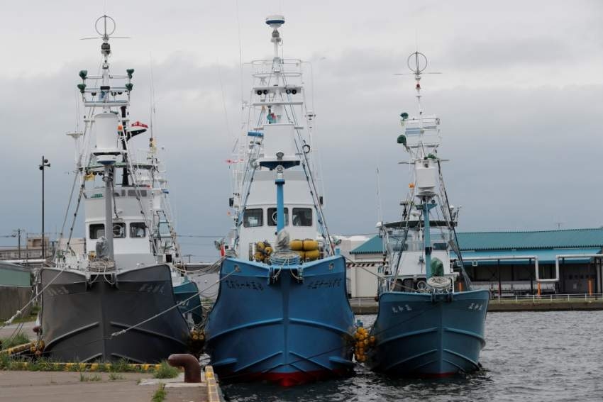 أسطول ياباني يستعد لاستئناف صيد الحيتان لأغراض تجارية
