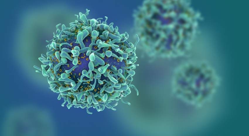 طريقة جديدة لمكافحة كـل أنواع السرطان عبر تعزيز المناعة الطبيعية