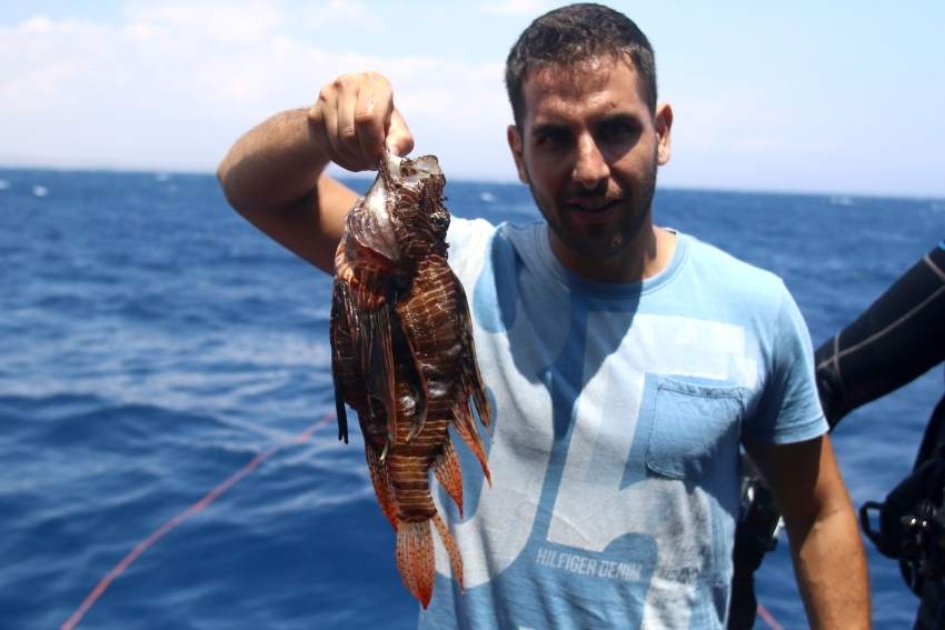 في قبرص .. «سمك التنين» مطلوب حياً أو «مشوياً»