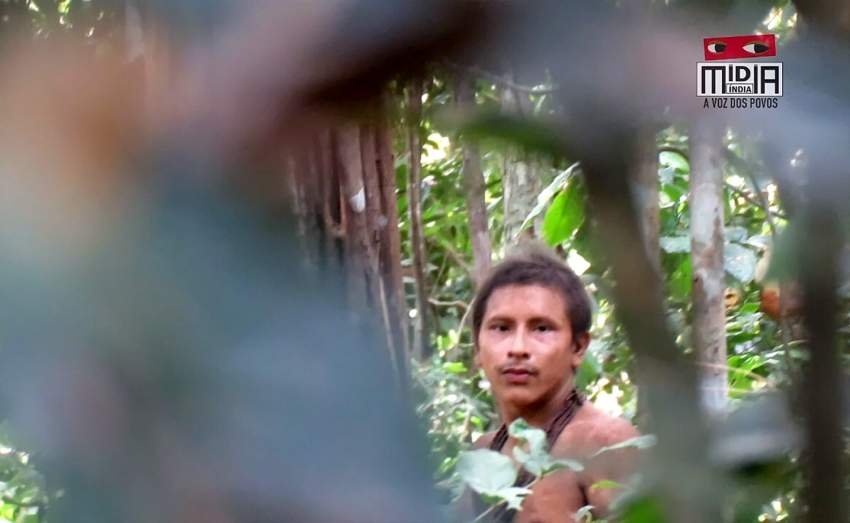 شاهد .. كاميرا تصطاد فرداً من قبيلة أوا المنعزلة داخل غابة برازيلية