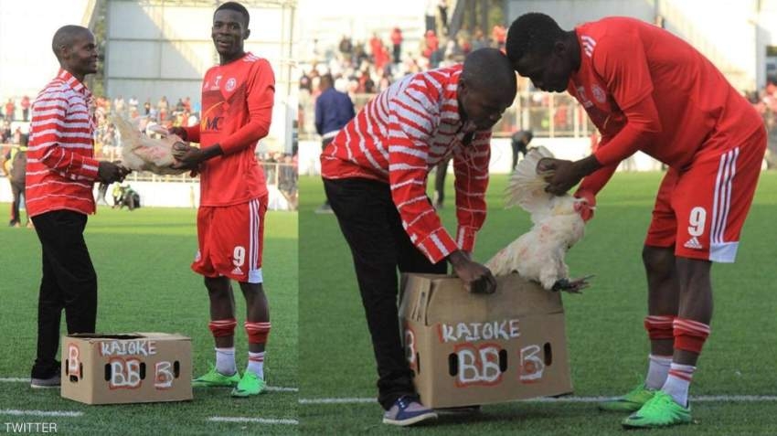 "دجاجة" جائزة هدّاف كرة أفريقي