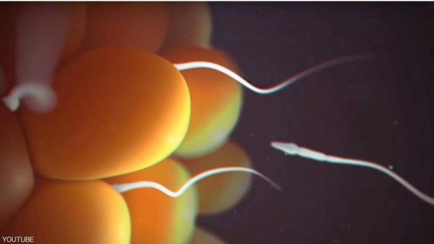 في نصر علمي جديد.. علماء يكتشفون سر تحديد جنس الجنين