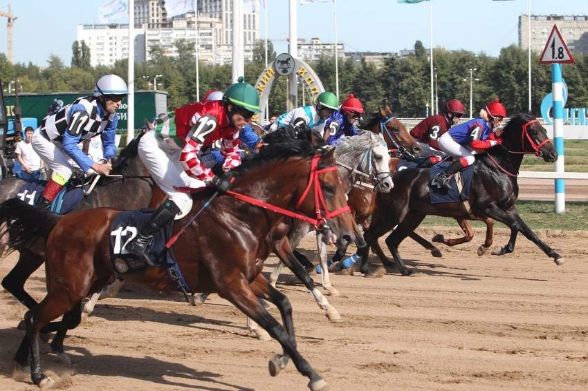 8 خيول تتنافس على كأس رئيس الدولة في موسكو