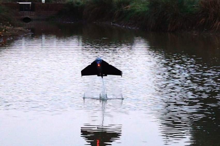 "السمكة الطائرة" روبوت جديد يمكنه السباحة والطيران
