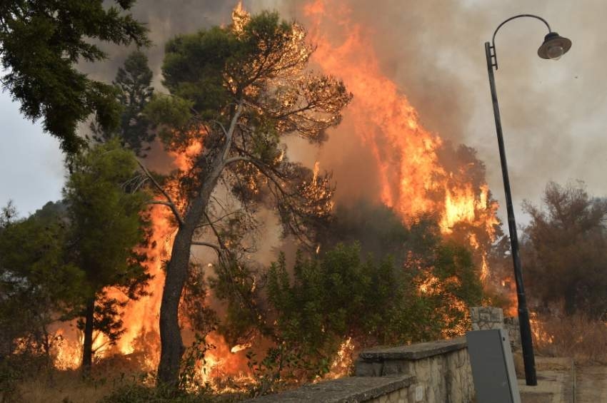 عشرات الحرائق تلتهم مساحات واسعة في لبنان وسوريا